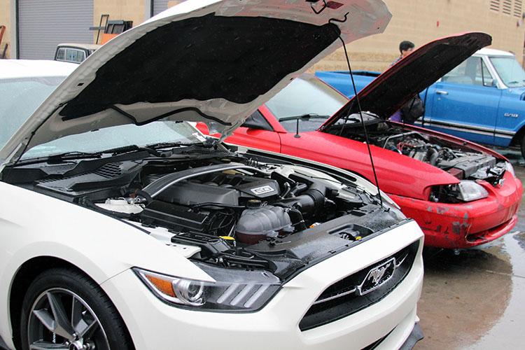 Annual car show shifts into gear