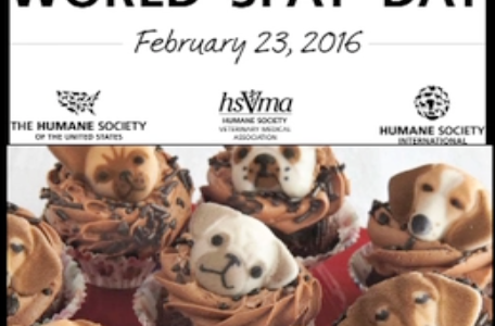 Cupcakes for a good cause